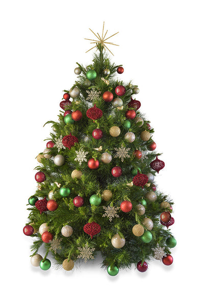 Real Christmas tree delivered Melbourne hire free delivery