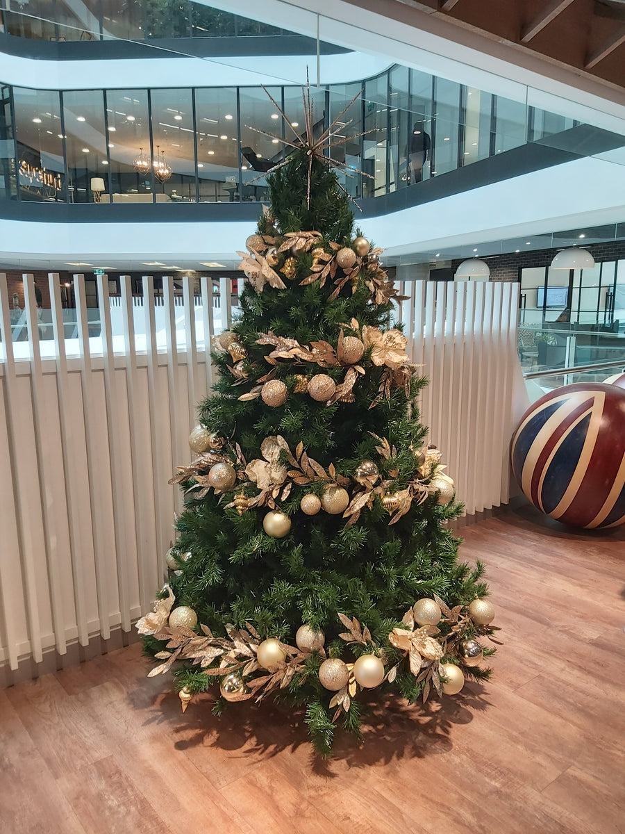 Dates for Christmas tree set ups are now limited The Happy Christmas
