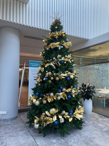 Launch of The Happy Christmas Company October 25, 2014 22:51