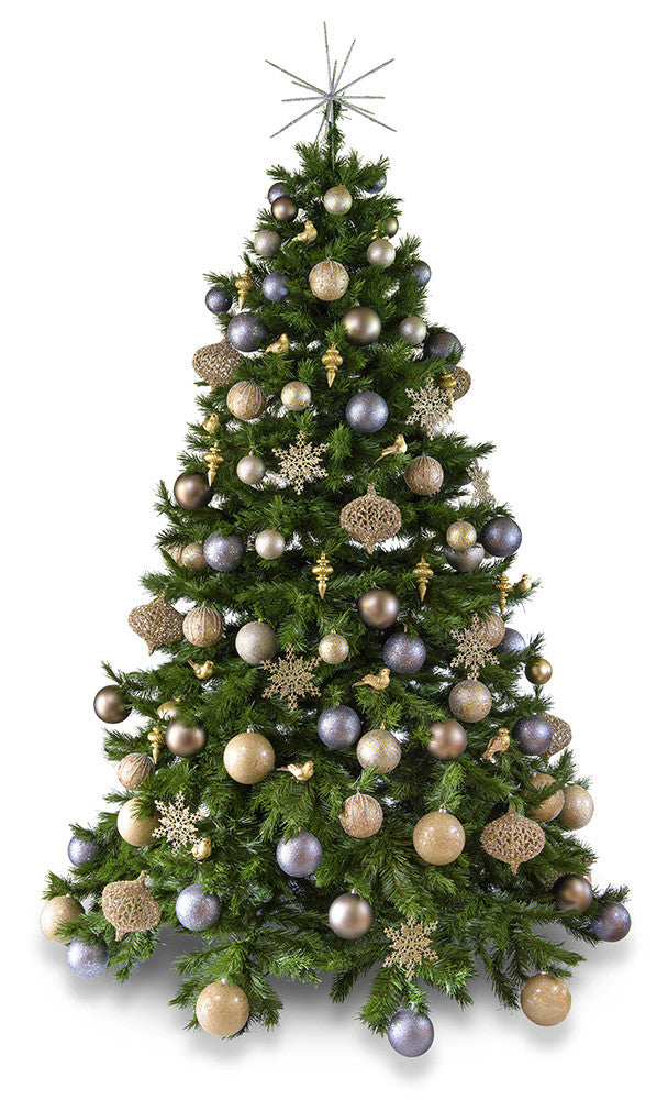 Launch of new 'Platinum' decorated Christmas trees