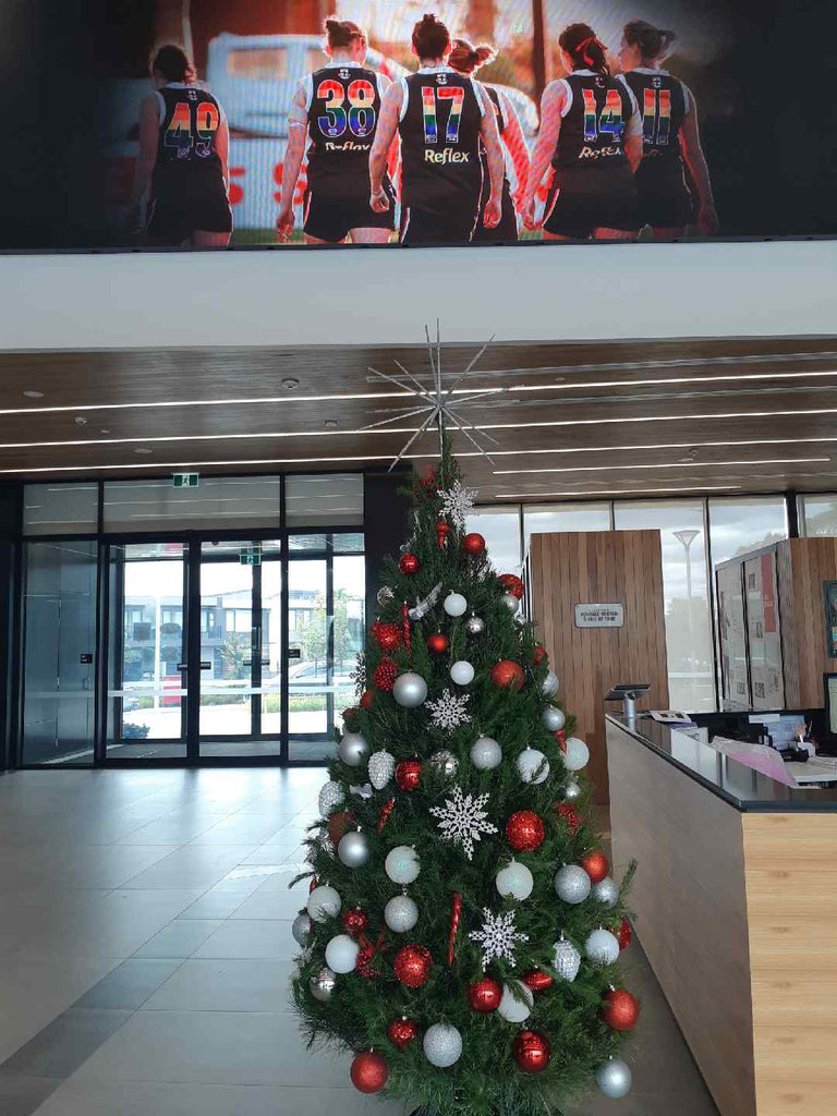 Real Christmas tree rental in Melbourne