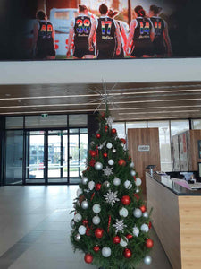 Real Christmas tree rental in Melbourne