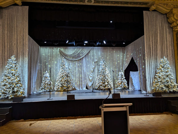 Stage grouping for Christmas event of flocked Christmas trees with lights lit