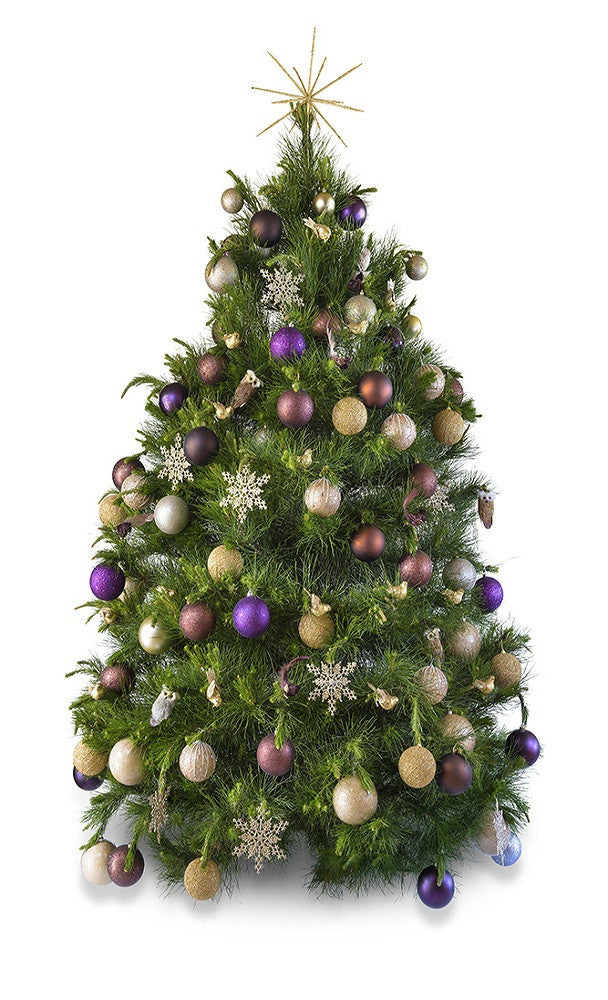 Real Christmas tree delivered Melbourne hire decorated Christmas tree