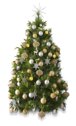 Real Christmas tree delivered Melbourne hire decorated Christmas tree