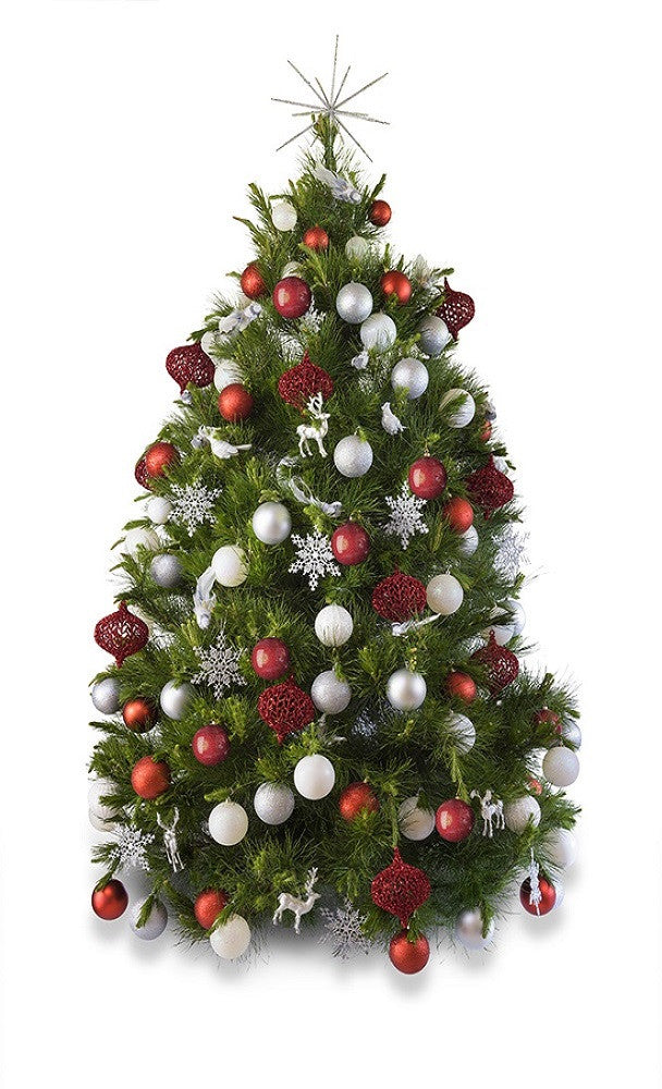 Real Christmas tree delivered Melbourne hire decorated Christmas tree